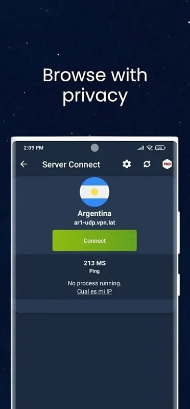 Interfaz del mod VPN.lat mostrando funciones premium