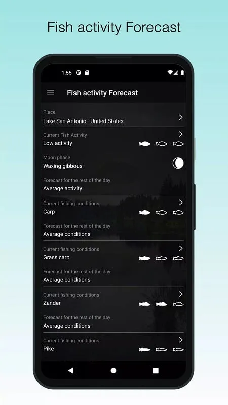 Interfaz de When to Fish mod mostrando predicciones de actividad de peces