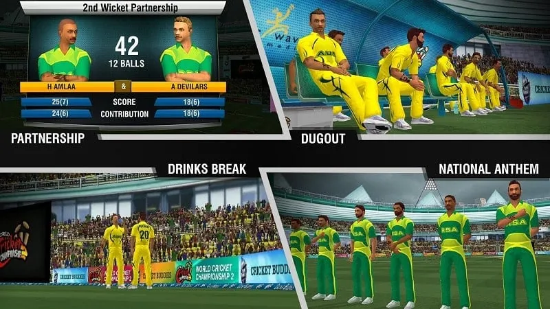 Diferentes modos de juego disponibles en World Cricket Championship 2.